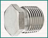 Alloy Steel Forged Screwed Threaded Plug